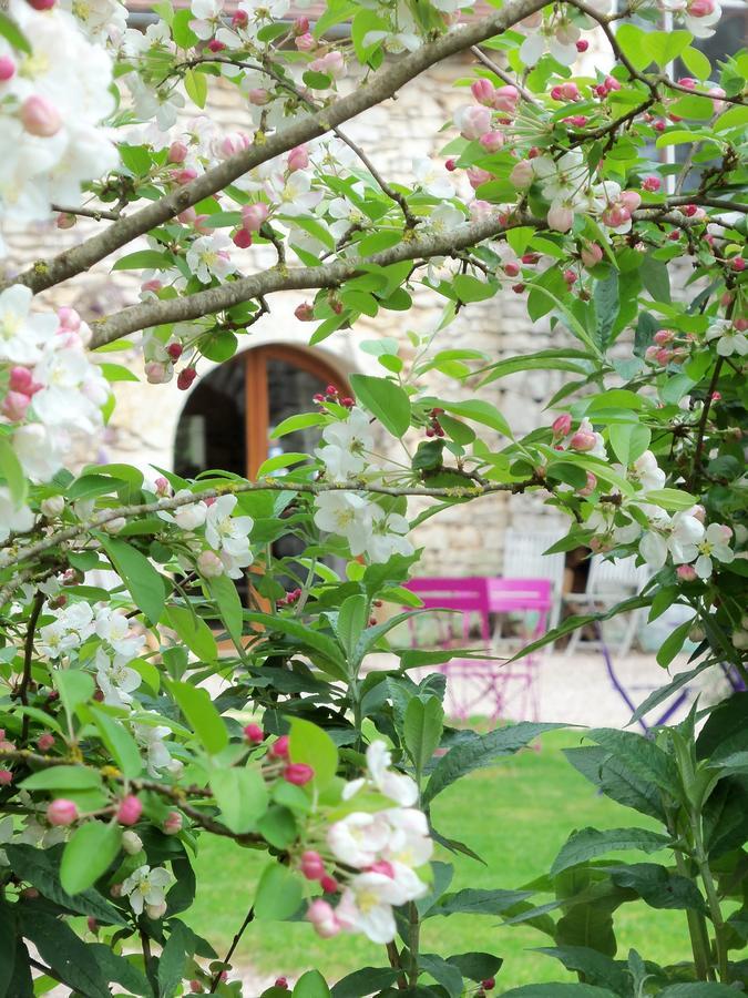 Chambres Et Jardin De Pierres Espédaillac 외부 사진